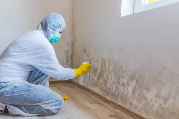 Licensed Crawl Space Mold Remediation service in Markham, VA - Car Mold Remediation